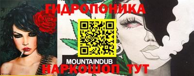 таблы Сланцы