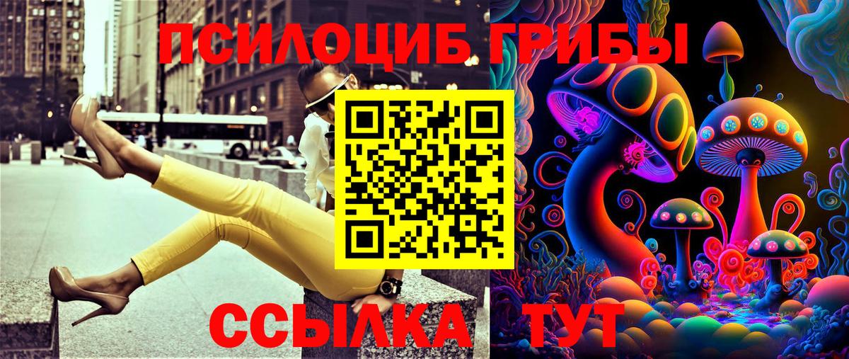 Псилоцибиновые грибы ЛСД Новоалександровск